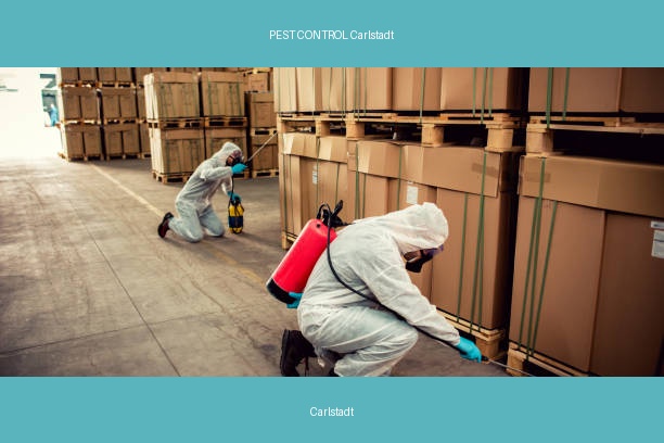 PEST CONTROL Carlstadt